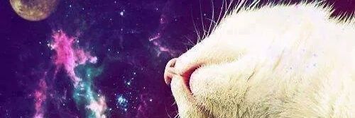 MapaMoreno's profile banner image