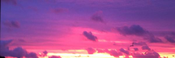 Suzy_Senior Profile Banner