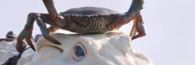 calcium0614's profile banner image