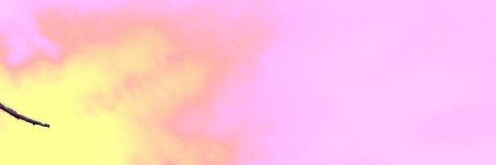 s_anpe's profile banner image