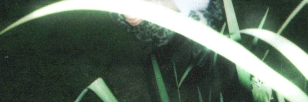 wyattnc's profile banner image