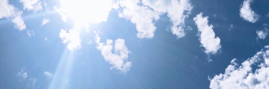 Chandler Coale banner