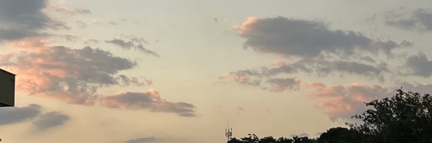 Bugmyla's profile banner image