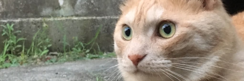SSSSNNNN0621's profile banner image