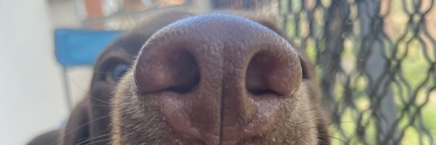 RabascallSara's profile banner image