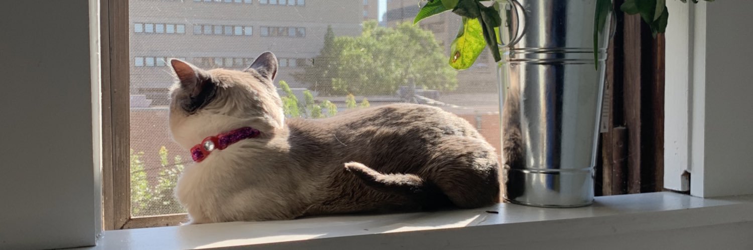 SailorFarrell's profile banner image