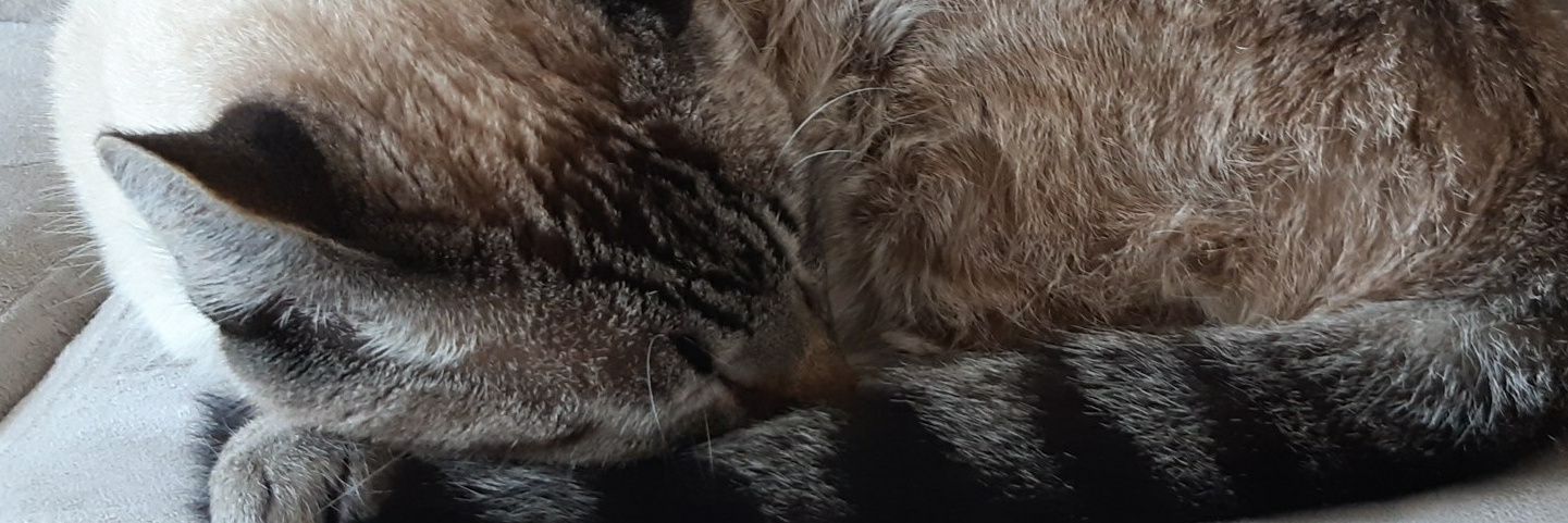 Ivanderlei🇧🇷 banner