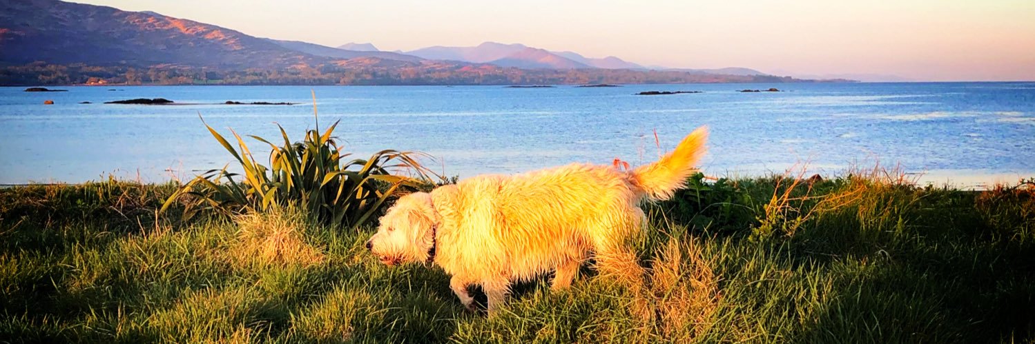 Deborah Doyle 🏴󠁧󠁢󠁷󠁬󠁳󠁿 banner