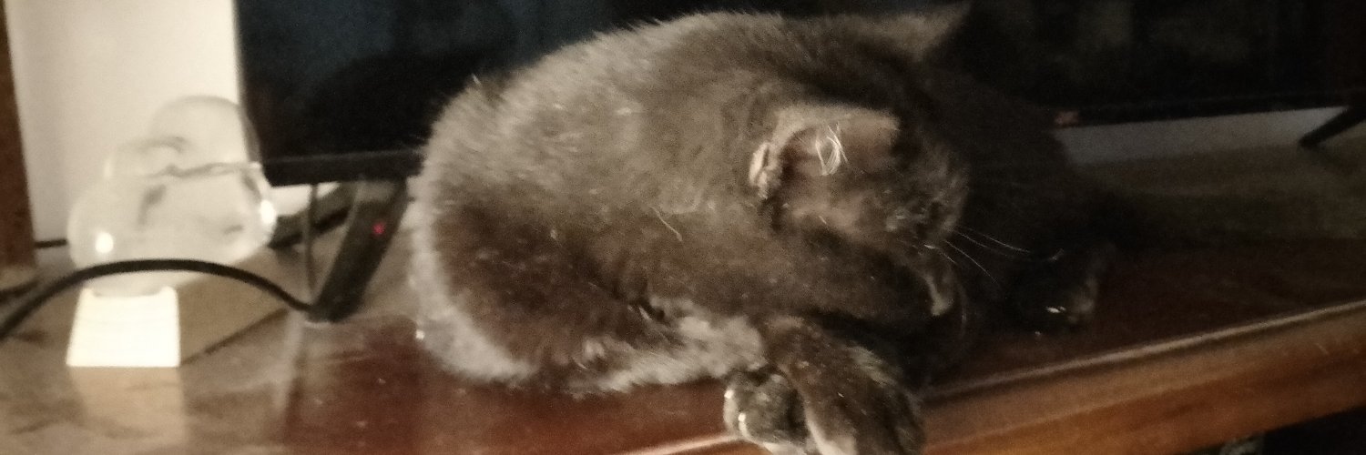 Greg Scarlet 🇺🇦 🇦🇺 banner