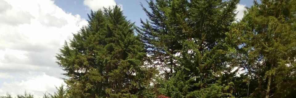 Geoffreyrotich0's profile banner image