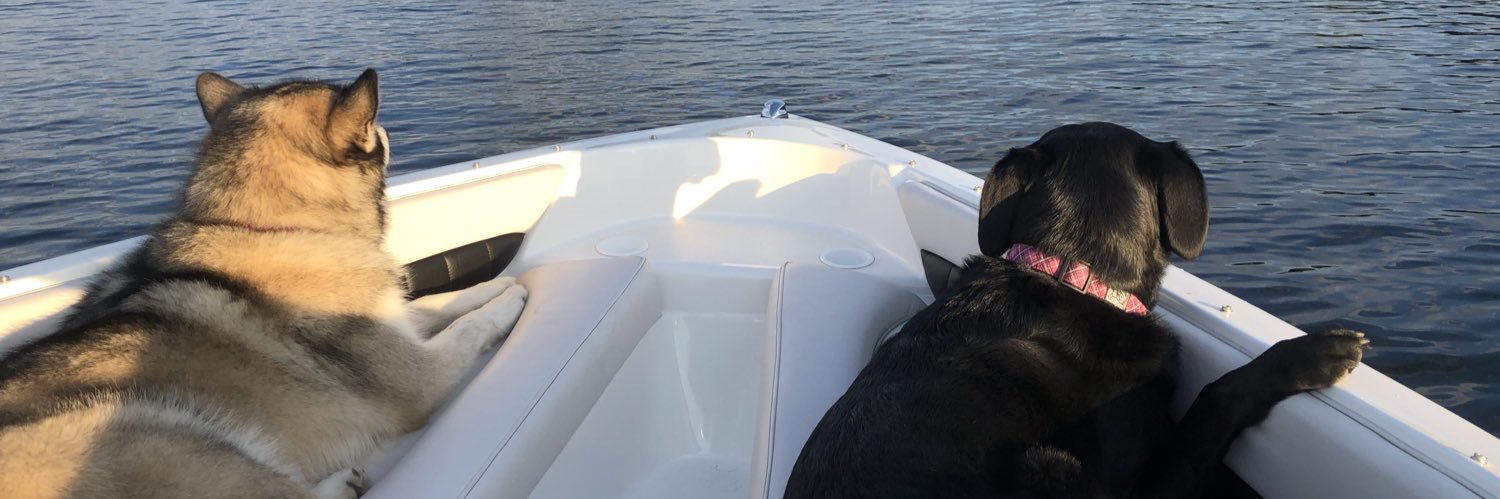 docksidegirl's profile banner image