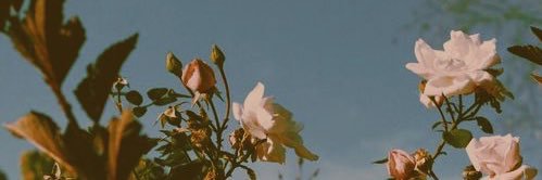 heyeosang's profile banner image