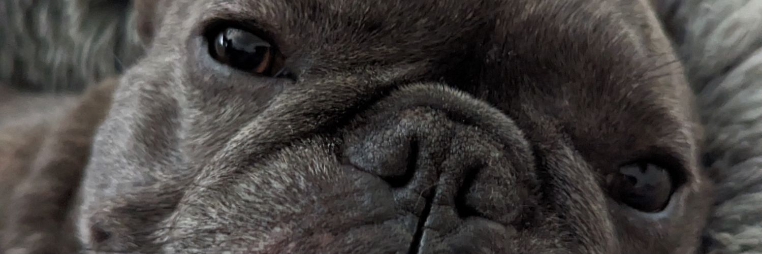justCodey's profile banner image