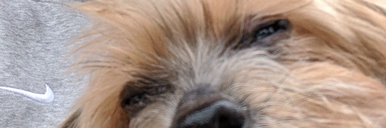 blakey623's profile banner image