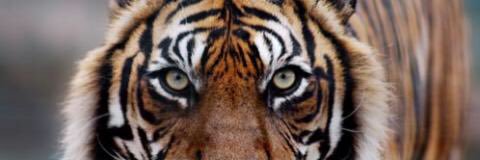 asap_rehm's profile banner image