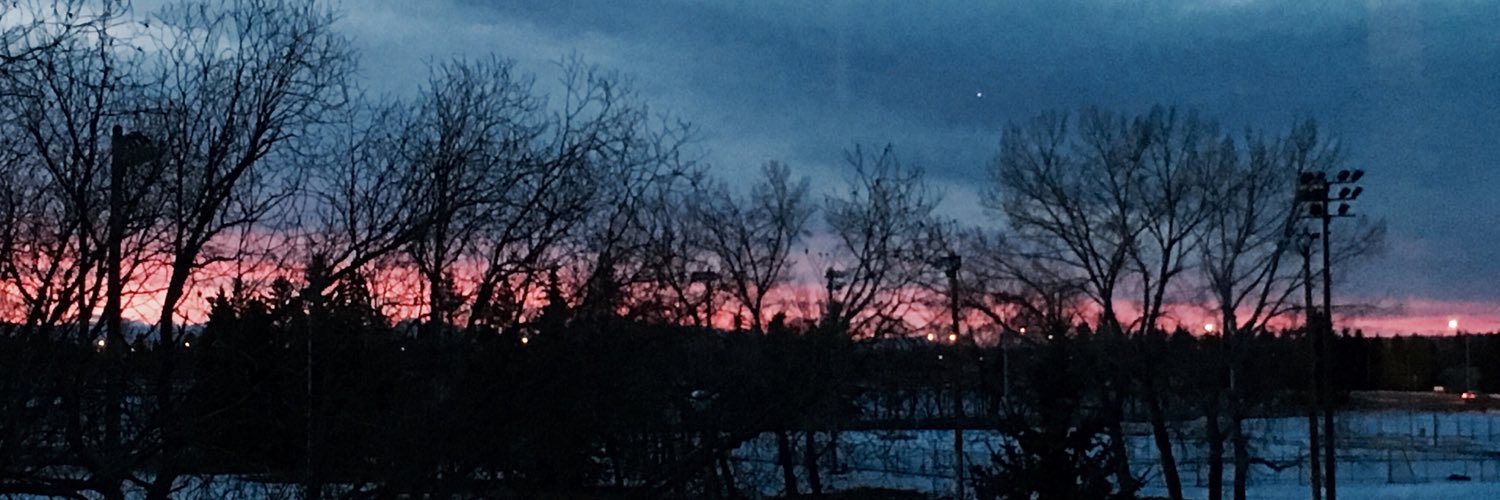 jesjesb's profile banner image