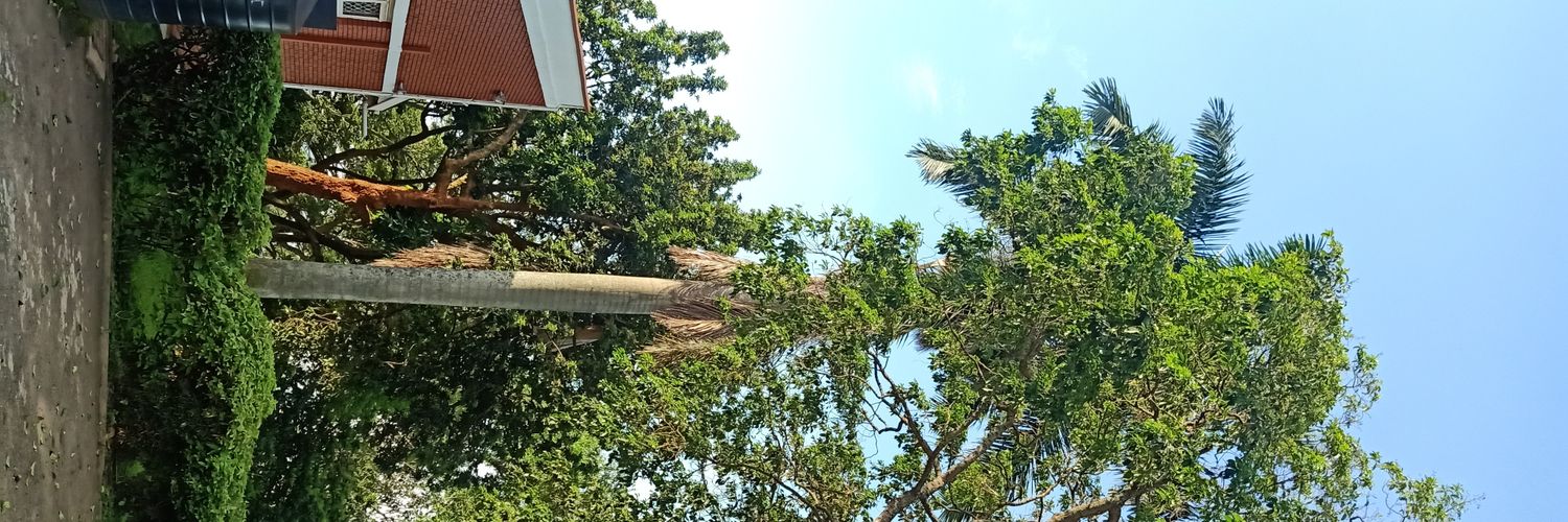 EliteAndreas's profile banner image