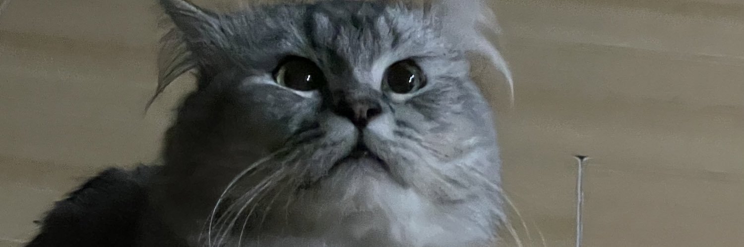 Angeheee's profile banner image
