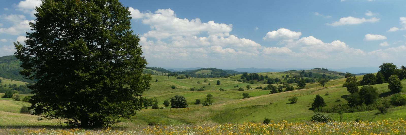 VorisekP's profile banner image