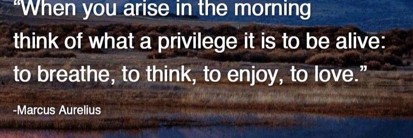 Matthew Brackhan banner