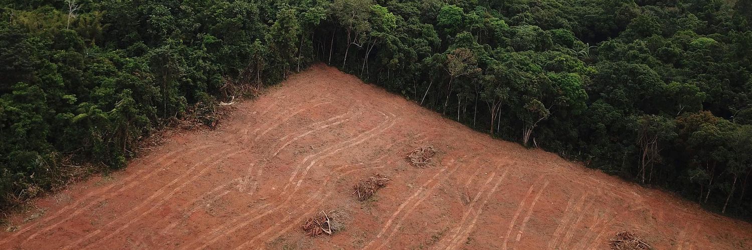 WWF_Aktion's profile banner image