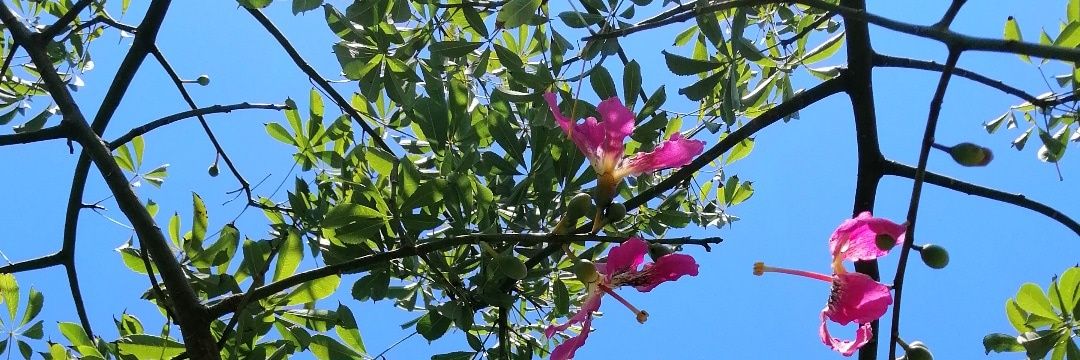 florianto96's profile banner image