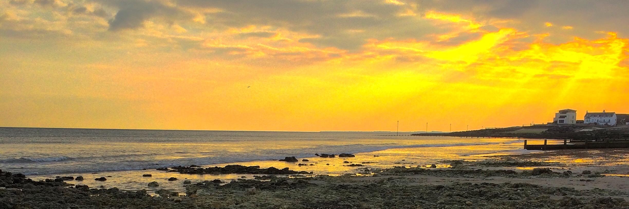 StrandPhotog's profile banner image