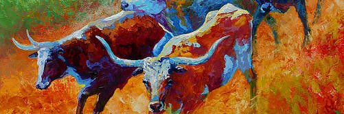 Tom_Molina_66's profile banner image