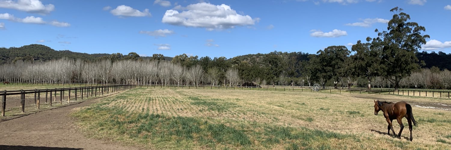 Patrick Galloway banner