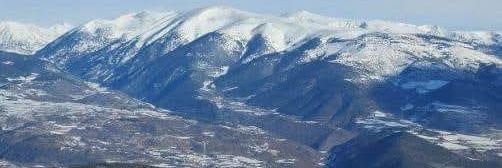 Rosa Maria Gaza banner