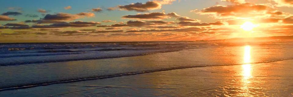 ToldYouSo33's profile banner image