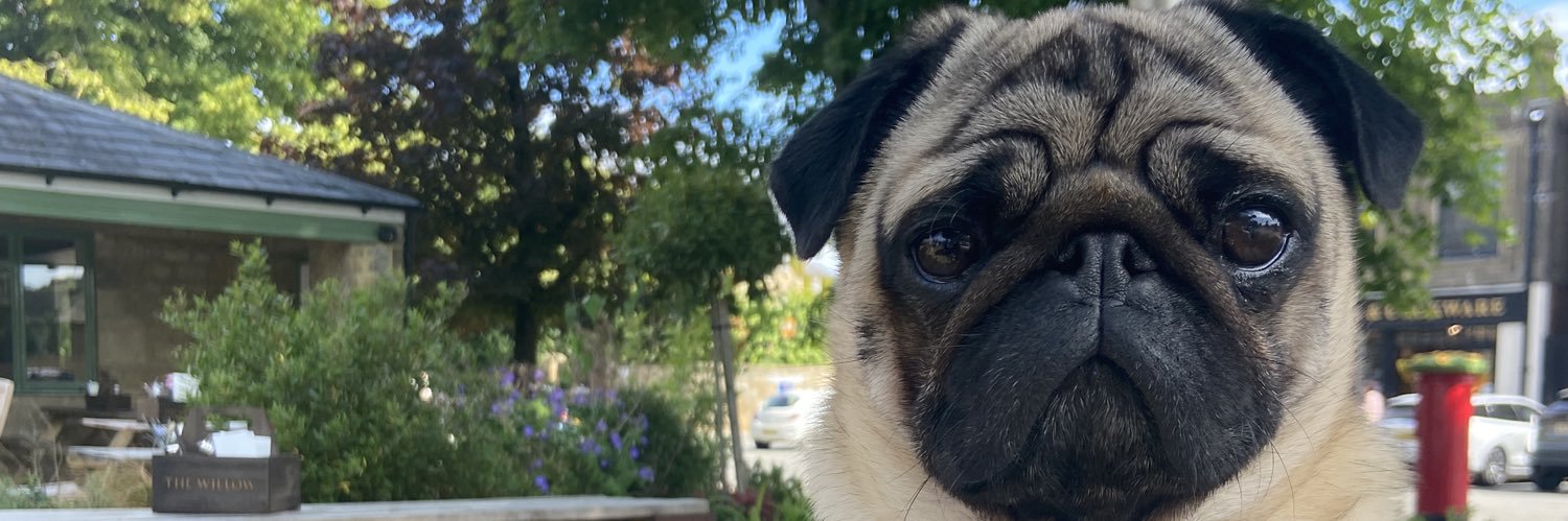 Nathan Wright banner