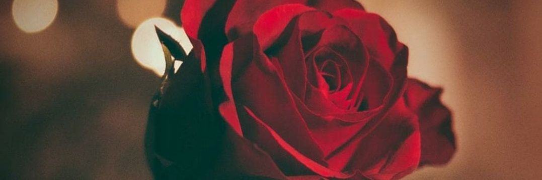 a_haksever44's profile banner image