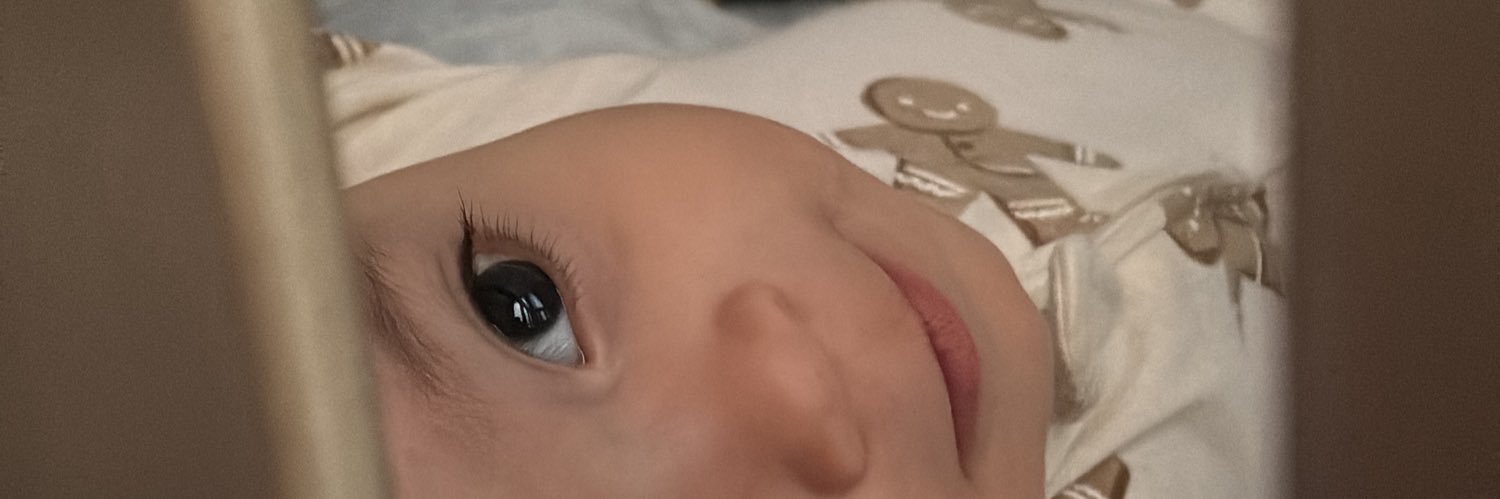 Torocriss's profile banner image