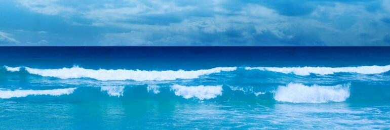 Chito Alemán banner