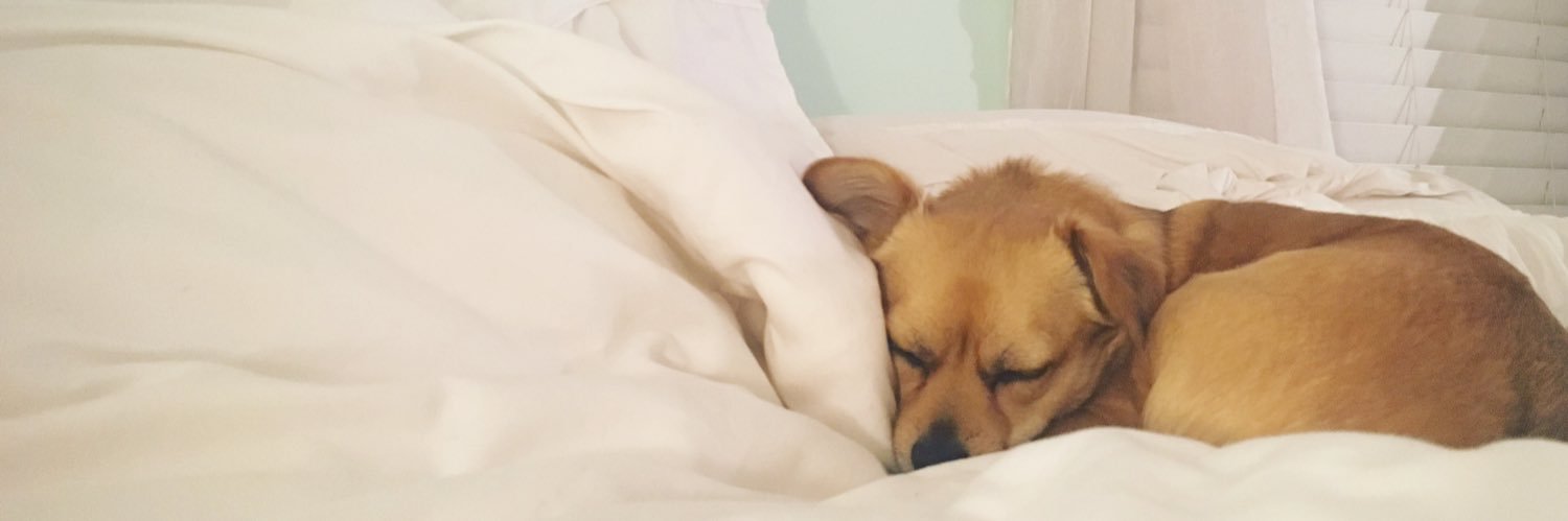 Ellen Fleming banner