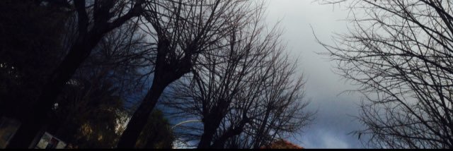 mysmillyy1's profile banner image