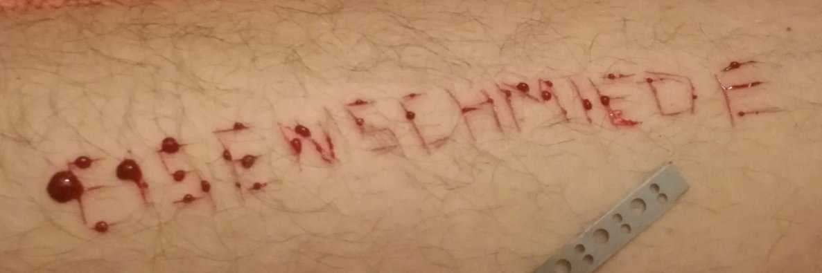 VellRnox's profile banner image