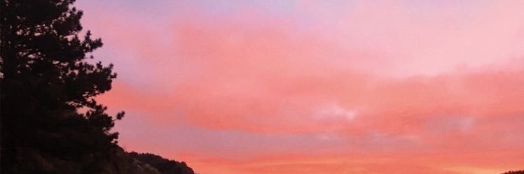 marleycameron1's profile banner image