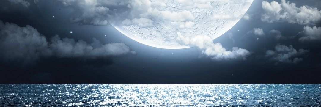 SimonaCvijan's profile banner image