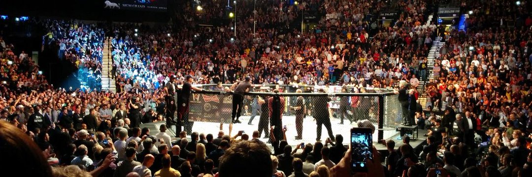 Brawl in the Cage banner