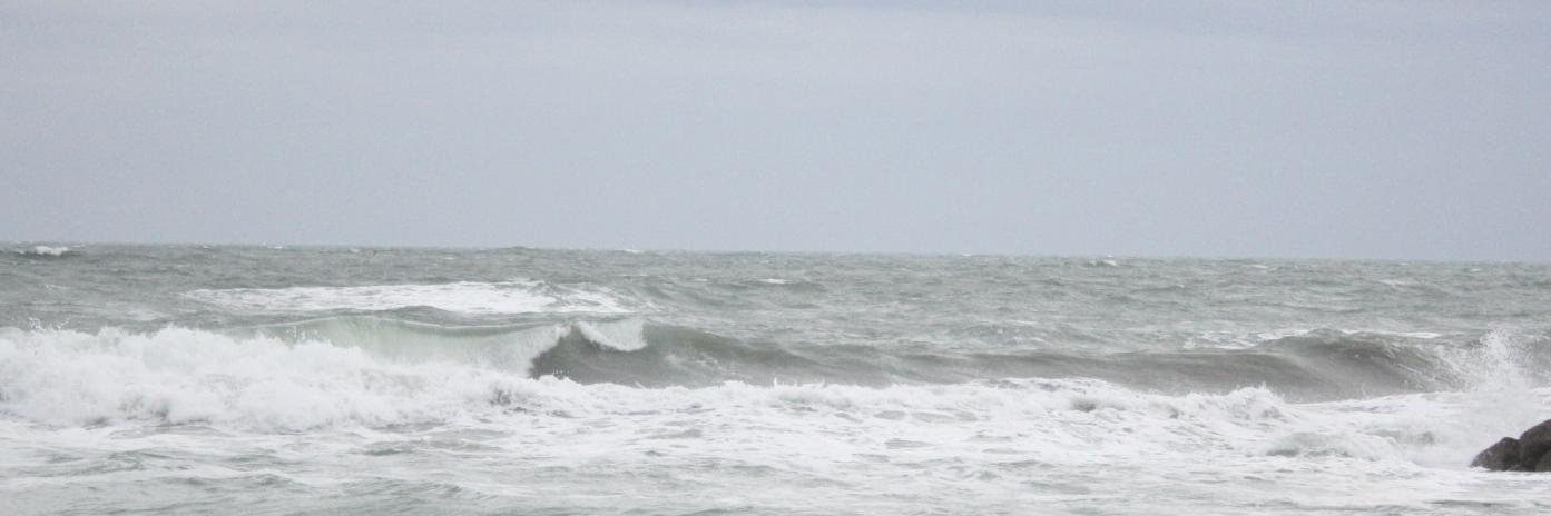 Alain - Sanfilippo banner