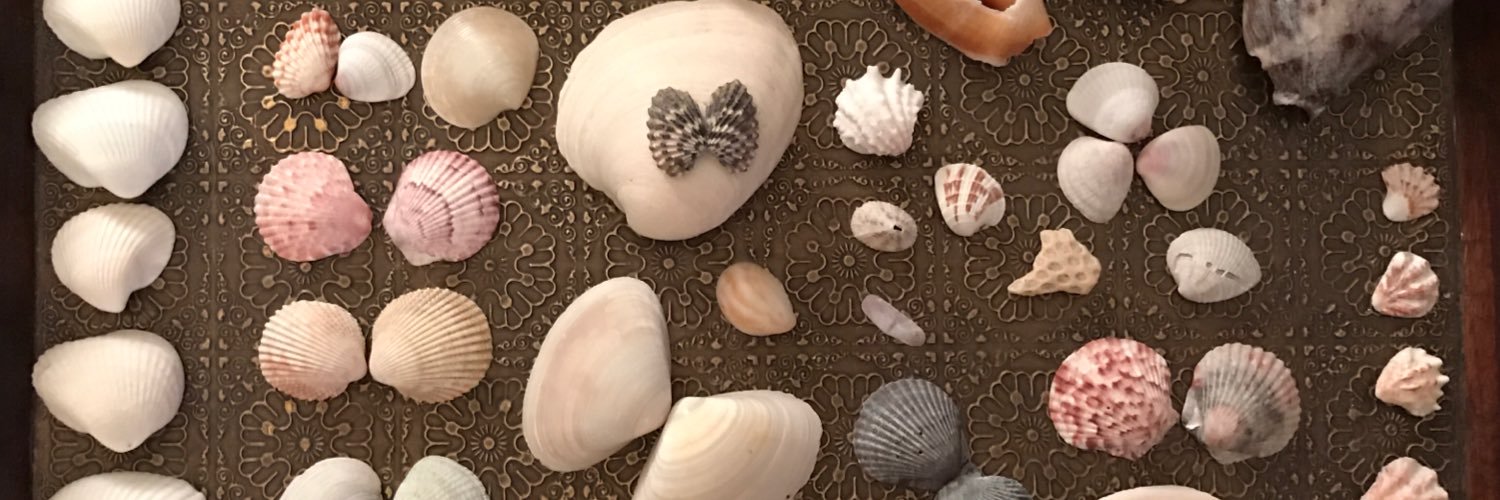 Pearl Zhu Zeng banner