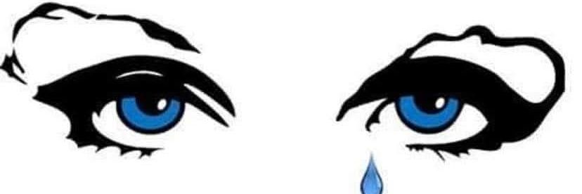 Good Brother Steve banner