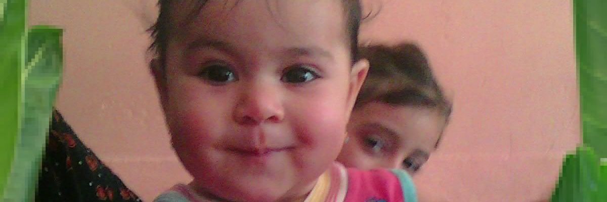 9024Hadar's profile banner image