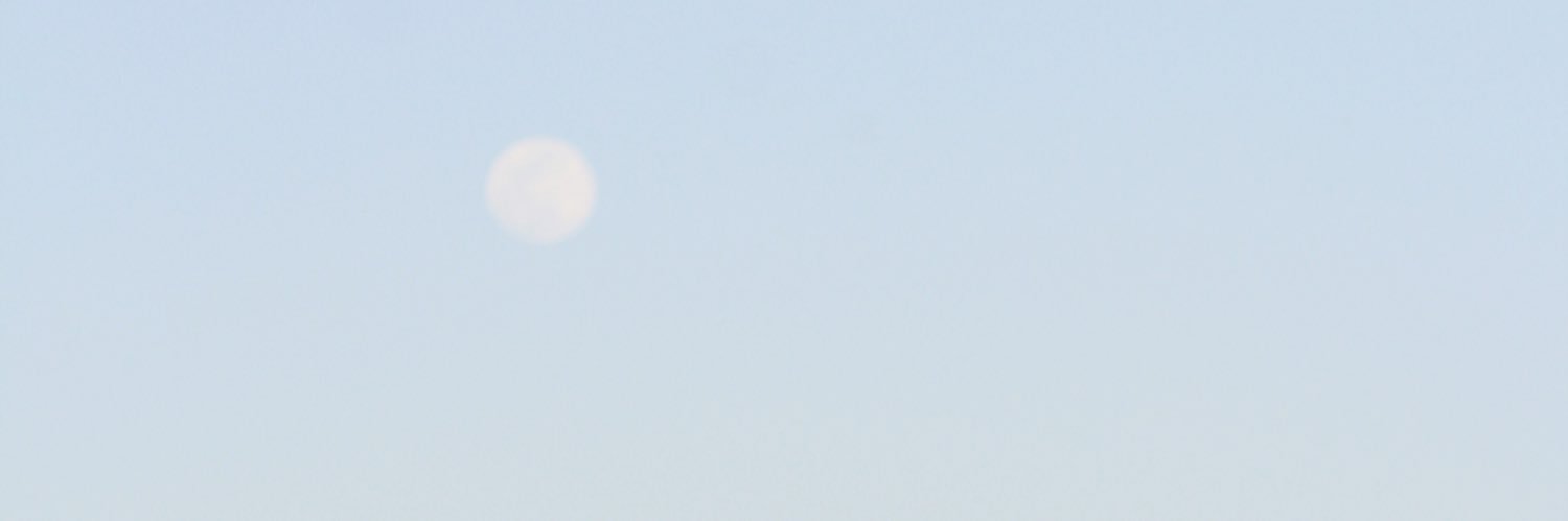 tfodrie7's profile banner image