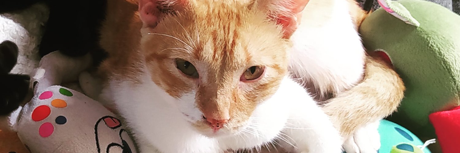 fleurmv's profile banner image
