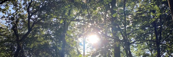 Steph_Spaniels Profile Banner