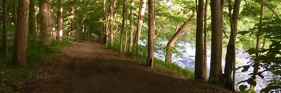 nm_bike_walk's profile banner image