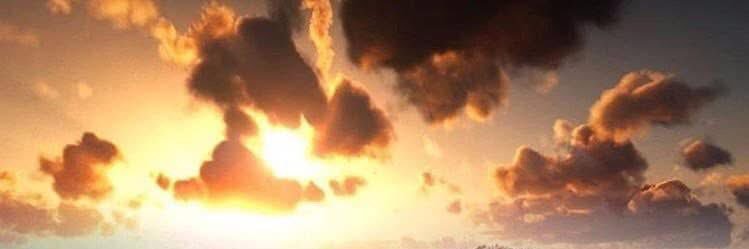 Ольга Панова banner